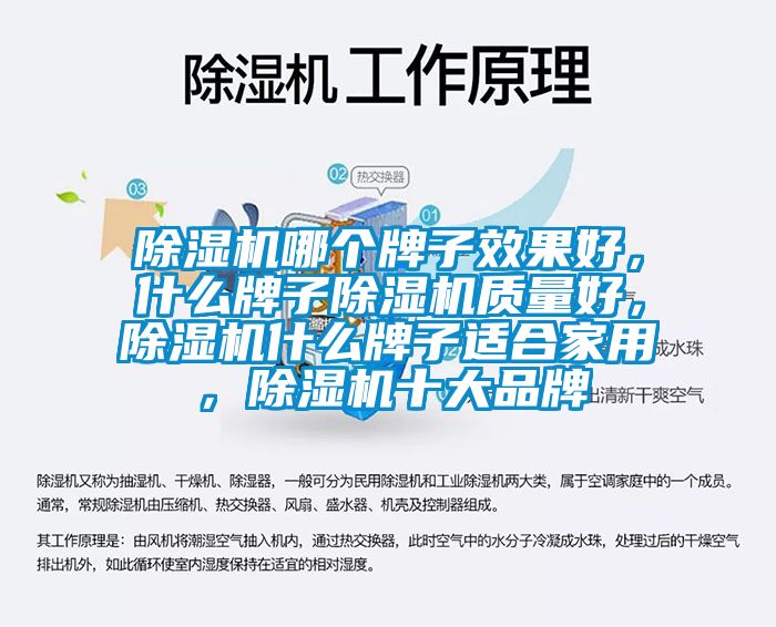 除湿机哪个牌子效果好，什么牌子除湿机质量好，除湿机什么牌子适合家用，除湿机十大品牌