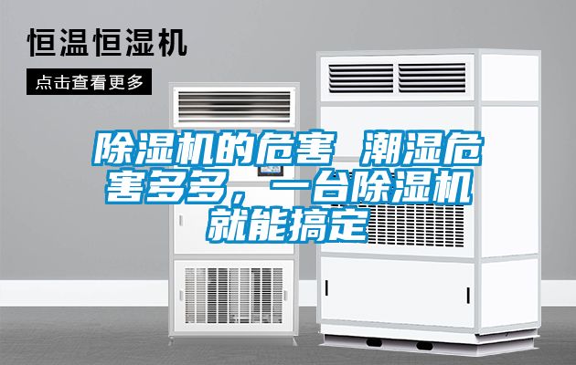 除湿机的危害 潮湿危害多多，一台除湿机就能搞定