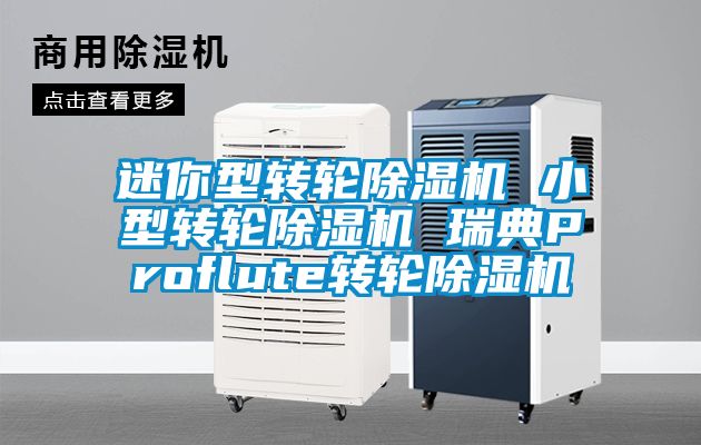 迷你型转轮除湿机 小型转轮除湿机 瑞典Proflute转轮除湿机