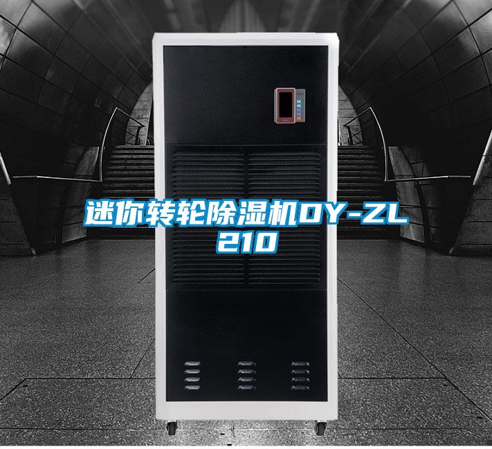 迷你转轮除湿机DY-ZL210
