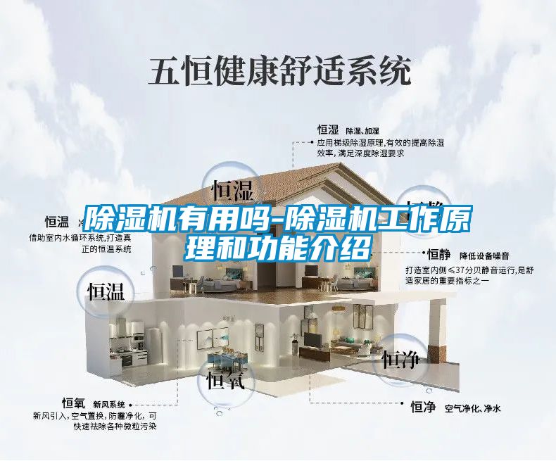 除湿机有用吗-除湿机工作原理和功能介绍