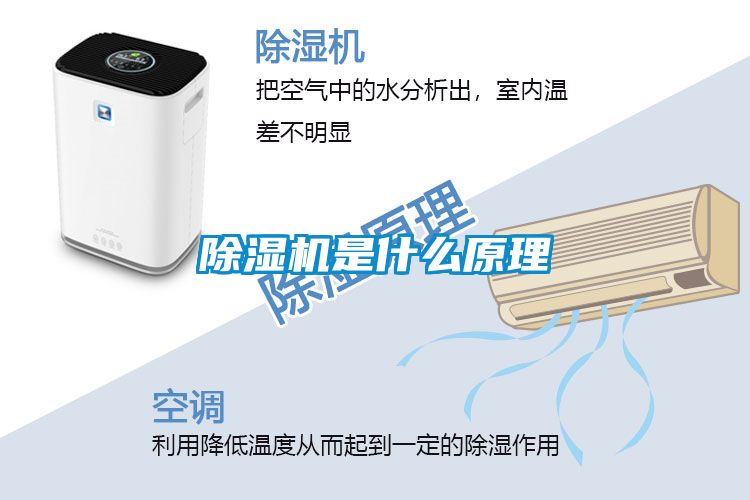 除湿机是什么原理