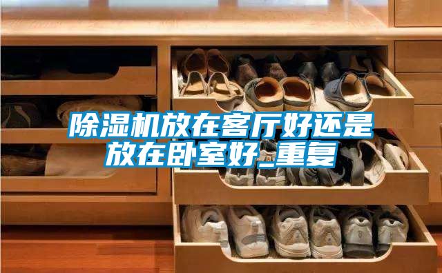 除湿机放在客厅好还是放在卧室好_重复