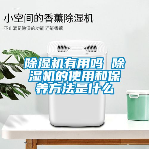 除湿机有用吗 除湿机的使用和保养方法是什么