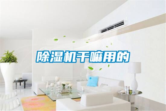 除湿机干嘛用的