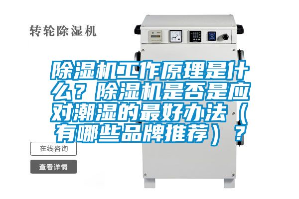 除湿机工作原理是什么？除湿机是否是应对潮湿的最好办法（有哪些品牌推荐）？
