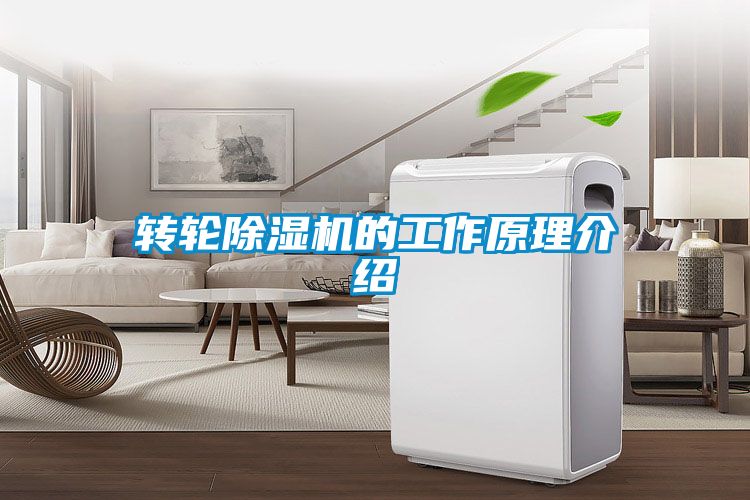转轮除湿机的工作原理介绍