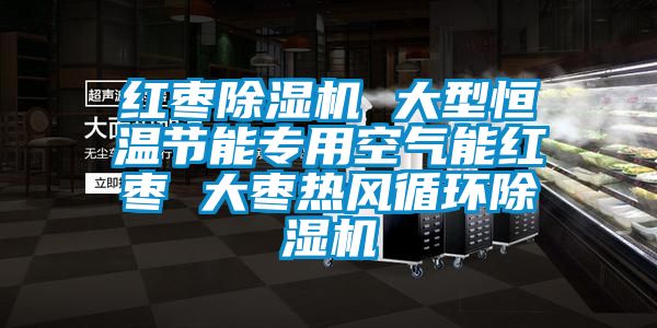 红枣除湿机 大型恒温节能专用空气能红枣 大枣热风循环除湿机