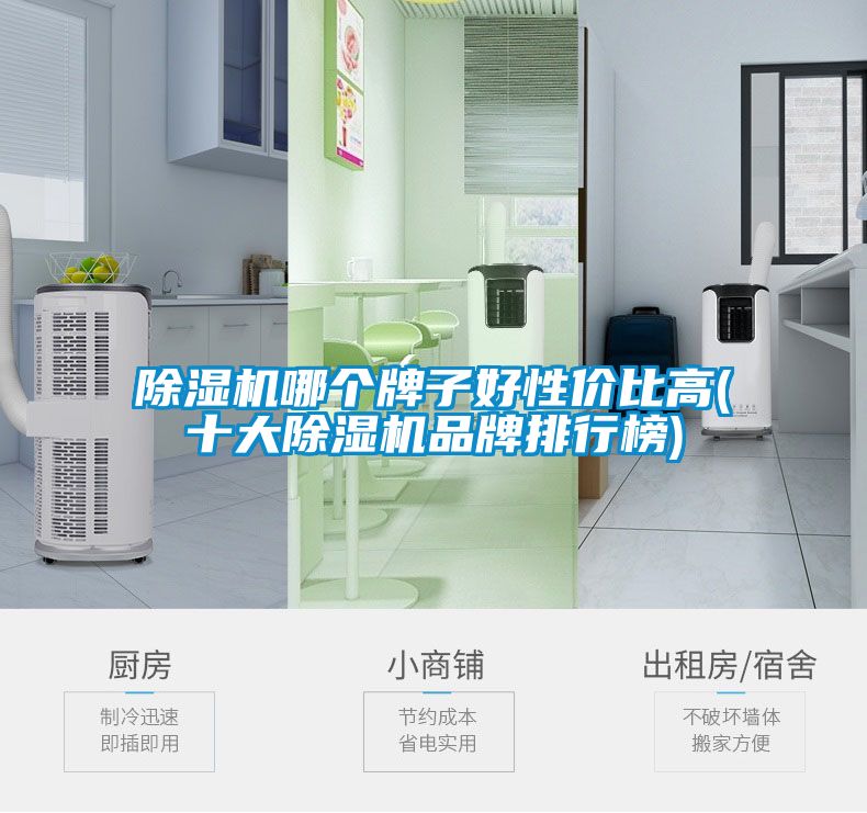 除湿机哪个牌子好性价比高(十大除湿机品牌排行榜)