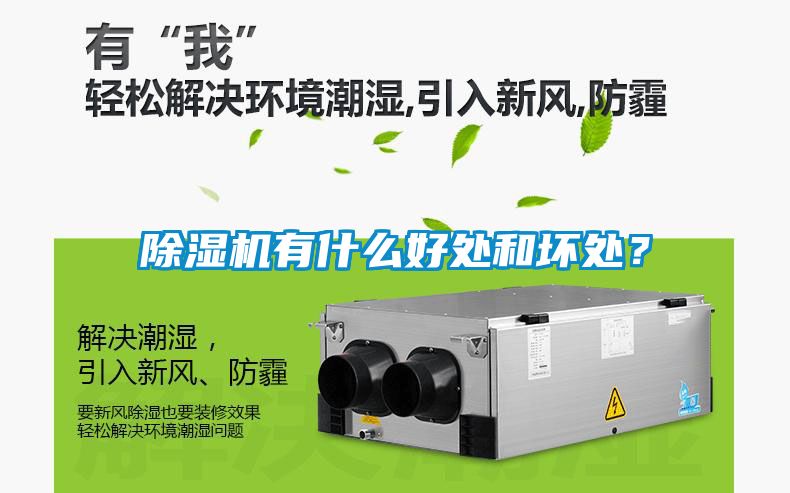除湿机有什么好处和坏处？
