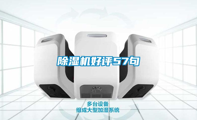 除湿机好评57句