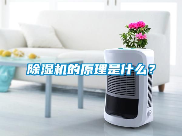 除湿机的原理是什么？