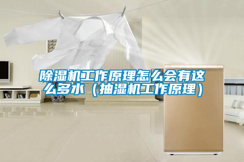 除湿机工作原理怎么会有这么多水（抽湿机工作原理）