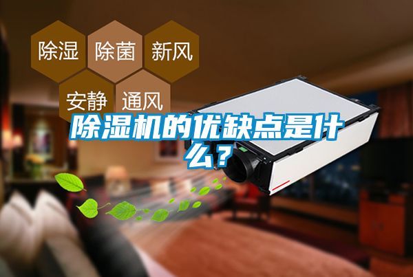 除湿机的优缺点是什么？