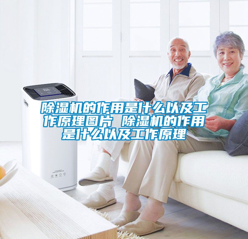 除湿机的作用是什么以及工作原理图片 除湿机的作用是什么以及工作原理