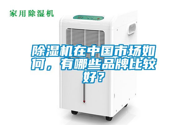 除湿机在中国市场如何，有哪些品牌比较好？