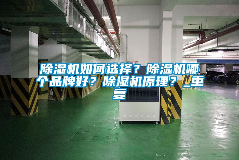 除湿机如何选择？除湿机哪个品牌好？除湿机原理？_重复