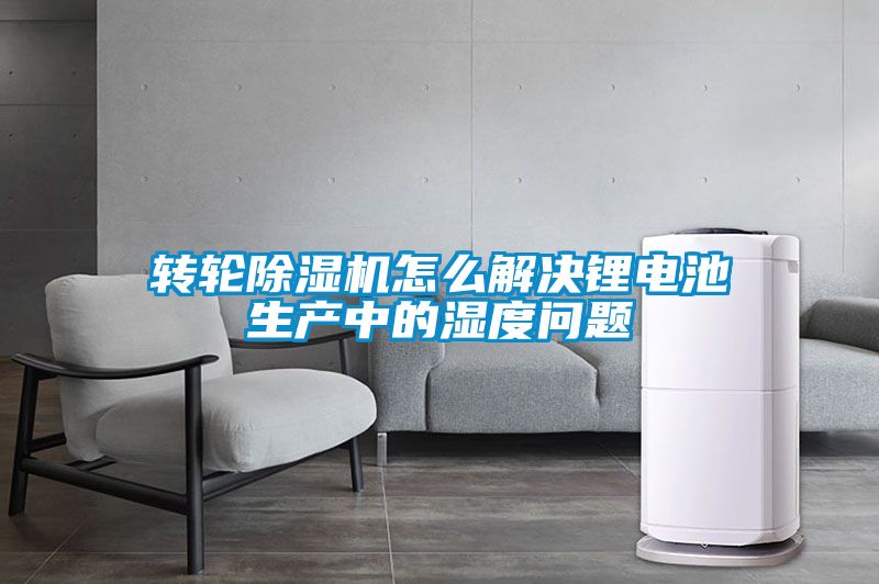 转轮除湿机怎么解决锂电池生产中的湿度问题