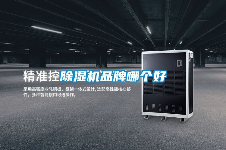 除湿机品牌哪个好