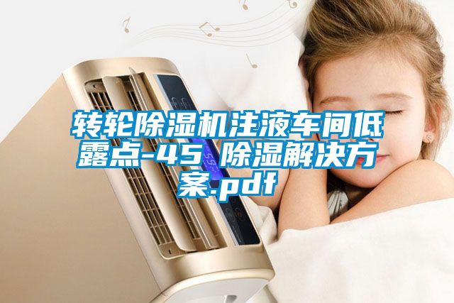 转轮除湿机注液车间低露点-45℃除湿解决方案.pdf
