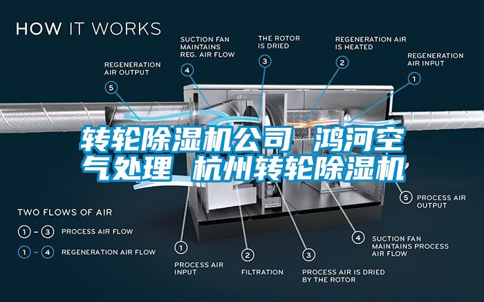 转轮除湿机公司 鸿河空气处理 杭州转轮除湿机