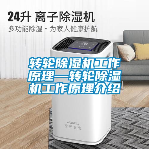 转轮除湿机工作原理—转轮除湿机工作原理介绍