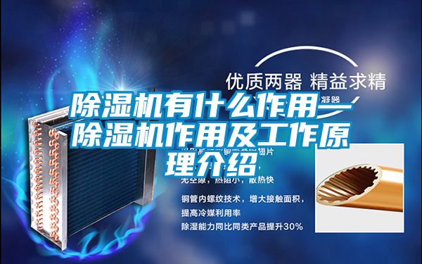 除湿机有什么作用—除湿机作用及工作原理介绍