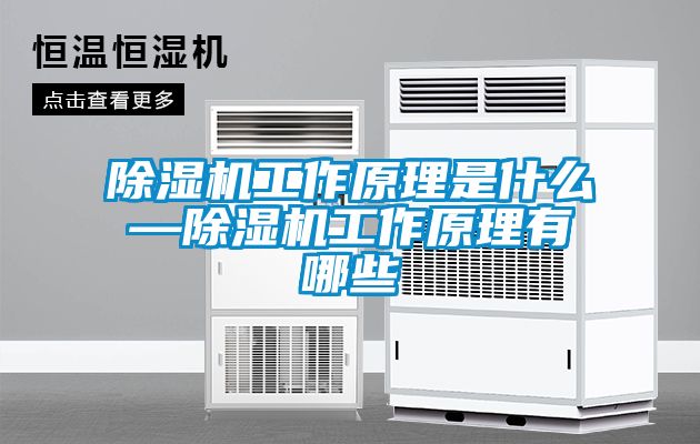 除湿机工作原理是什么—除湿机工作原理有哪些