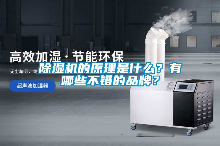 除湿机的原理是什么？有哪些不错的品牌？