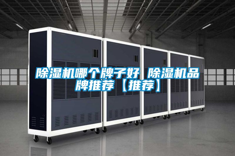 除湿机哪个牌子好 除湿机品牌推荐【推荐】