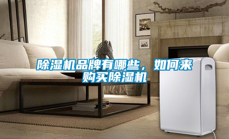除湿机品牌有哪些，如何来购买除湿机