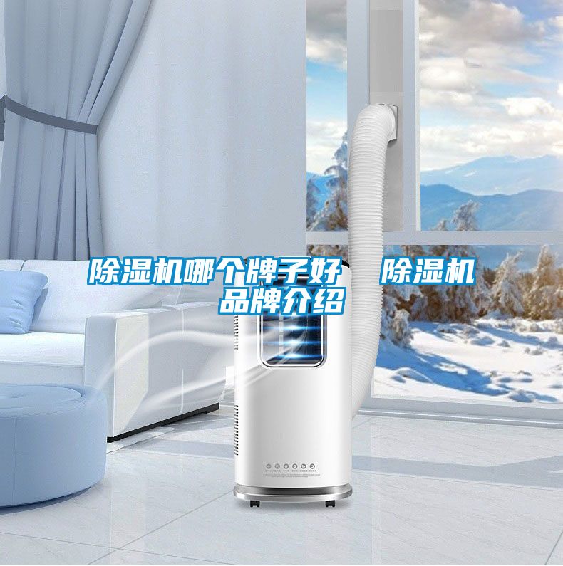 除湿机哪个牌子好  除湿机品牌介绍