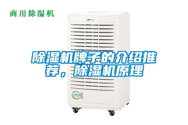 除湿机牌子的介绍推荐，除湿机原理