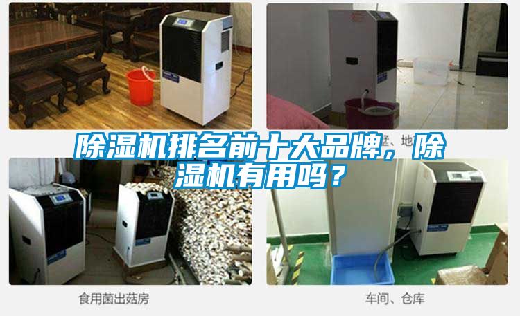 除湿机排名前十大品牌，除湿机有用吗？