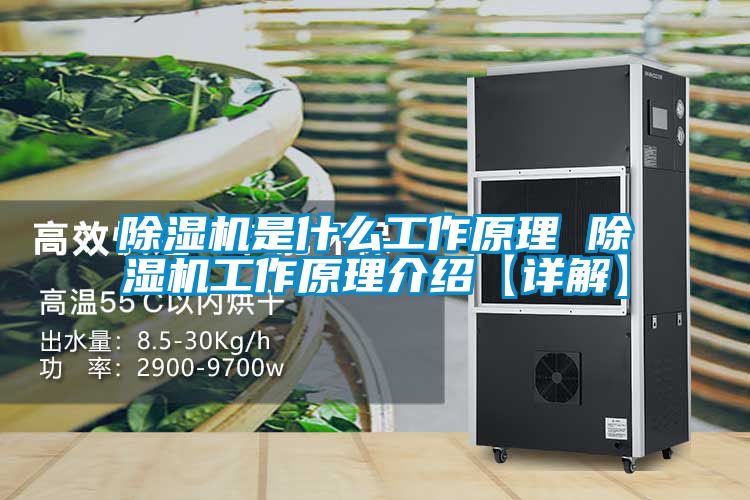 除湿机是什么工作原理 除湿机工作原理介绍【详解】