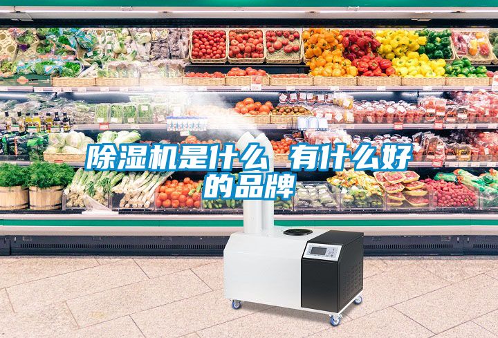 除湿机是什么 有什么好的品牌