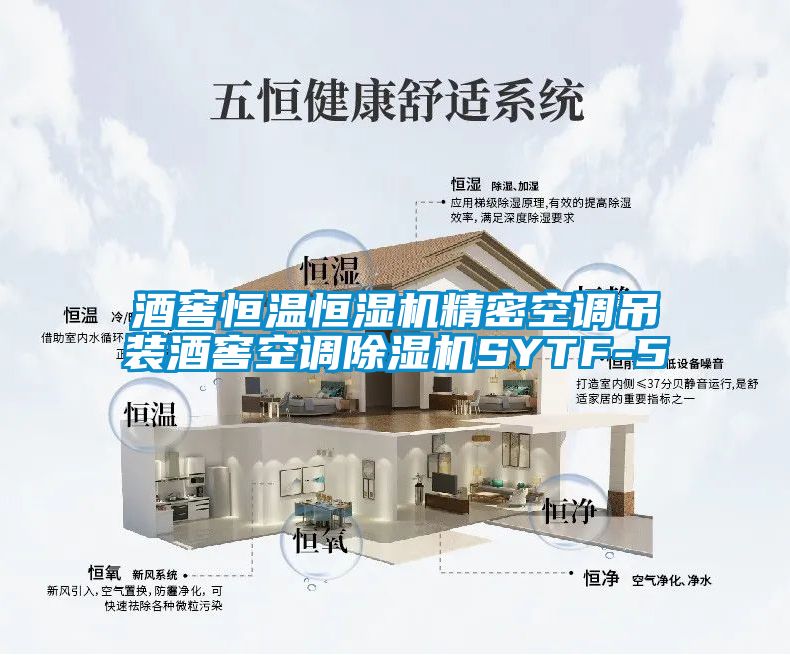 酒窖恒温恒湿机精密空调吊装酒窖空调除湿机SYTF-5