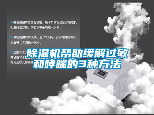 除湿机帮助缓解过敏和哮喘的3种方法