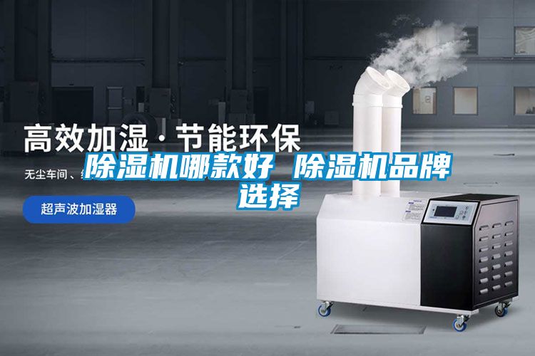 除湿机哪款好 除湿机品牌选择