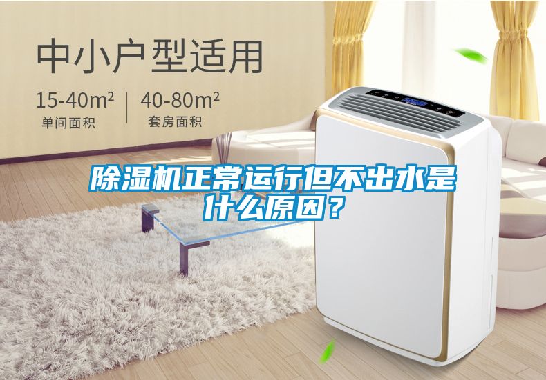 除湿机正常运行但不出水是什么原因?
