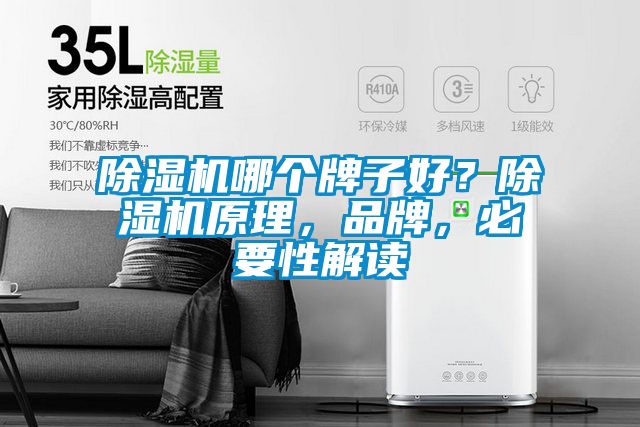 除湿机哪个牌子好？除湿机原理，品牌，必要性解读