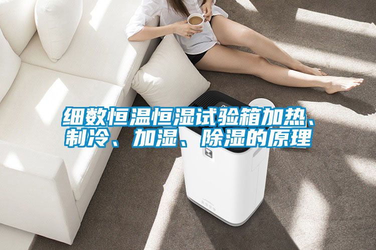 细数恒温恒湿试验箱加热、制冷、加湿、除湿的原理