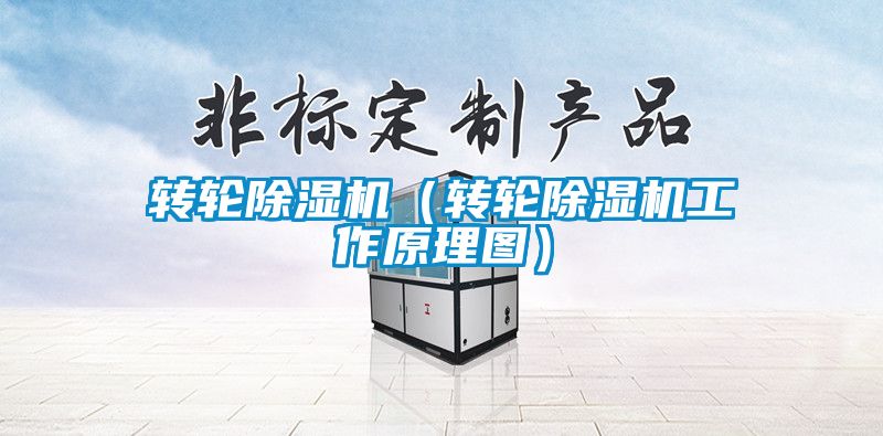 转轮除湿机（转轮除湿机工作原理图）