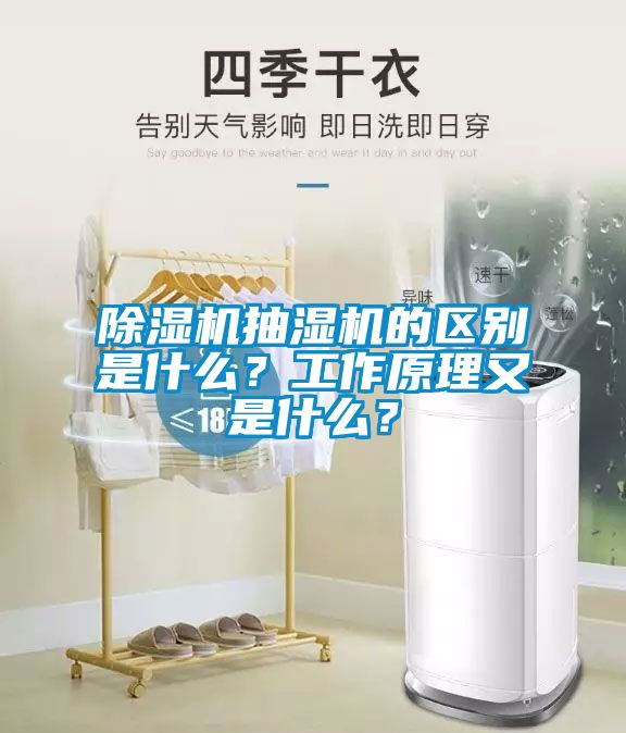 除湿机抽湿机的区别是什么？工作原理又是什么？