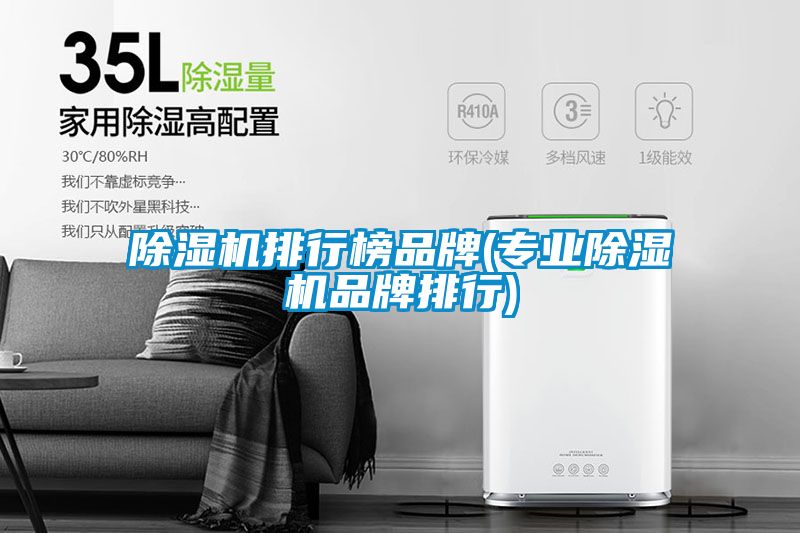 除湿机排行榜品牌(专业除湿机品牌排行)