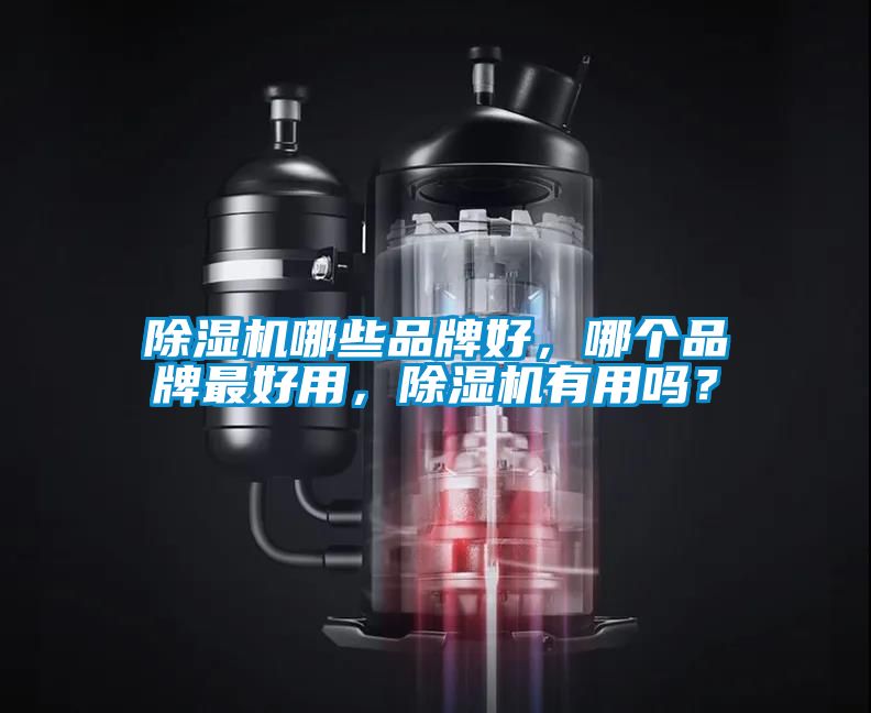 除湿机哪些品牌好，哪个品牌最好用，除湿机有用吗？