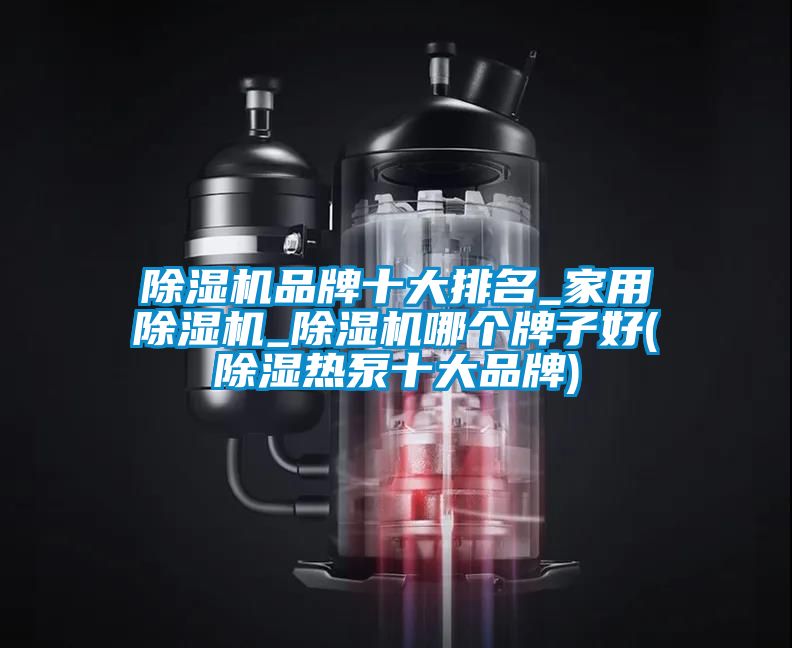 除湿机品牌十大排名_家用除湿机_除湿机哪个牌子好(除湿热泵十大品牌)