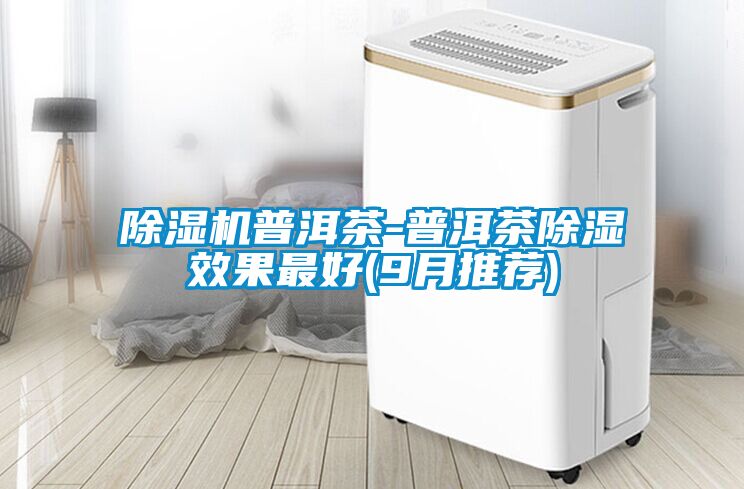 除湿机普洱茶-普洱茶除湿效果最好(9月推荐)