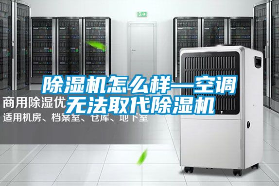 除湿机怎么样—空调无法取代除湿机