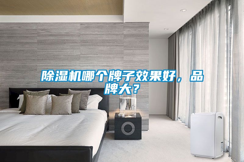 除湿机哪个牌子效果好，品牌大？